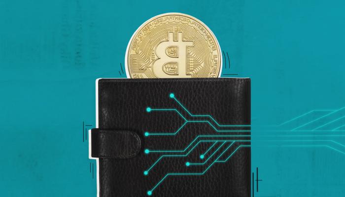 Eco Protocol’ün geliştiricilerinden kripto cüzdanı atılımı