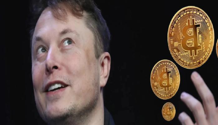 Elon Musk’ın Kripto Para Cüzdanı Aranıyor! Ödül de Var!