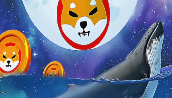 En Büyük Shiba Inu Balinası Uyandı: SHIB Satabilir!