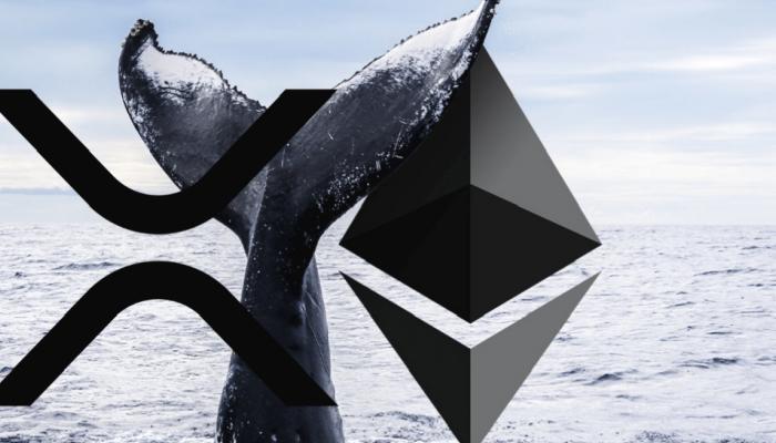 Ethereum Balinalarından Borsalara Büyük ETH Transferi!