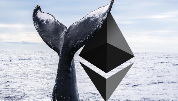 Ethereum’un (ETH) ilk balinalarından biri uyandı!