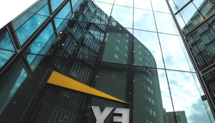 EY Başkanı: Bu Altcoin Akıllı Paranın Gözdesi Olacak!