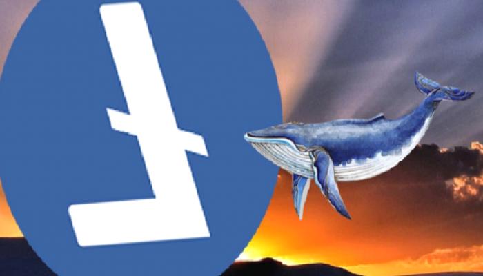 Halving İçin Geri Sayım: Litecoin Balinalarından Kıymetli Hamle!