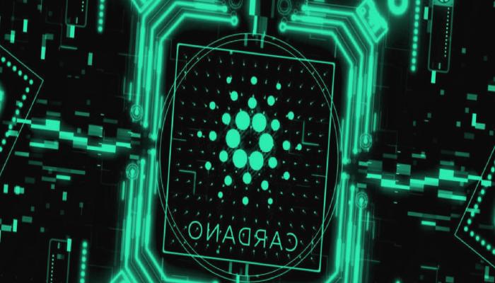 ‘İzleme Listesine Giren’ Cardano Coinler Bunlar!