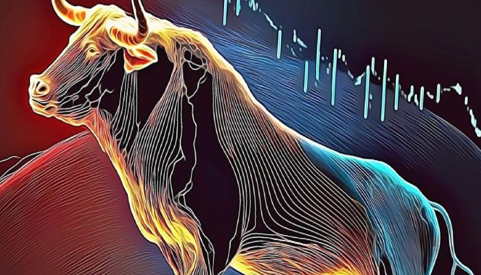 Nam Salan Analist: Bitcoin ve Bu Altcoin’de Boğayım!