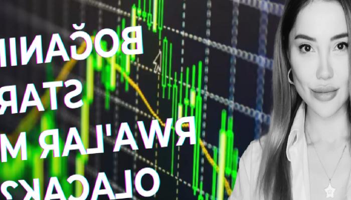 Önümüzdeki Boğanın Starı RWA (Real World Assets) mı Olacak?