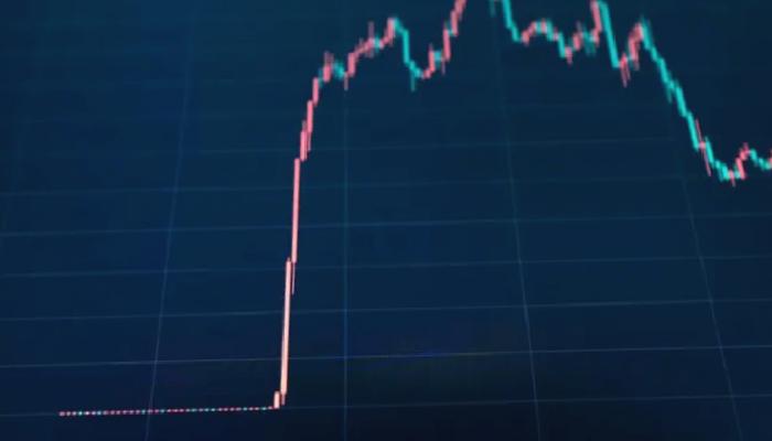 SEC Dava Açtı! CEO’su Tutuklanan Altcoin Çakıldı!