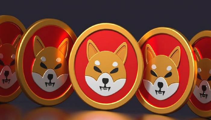 Shiba Inu (SHIB) Yetkilisi, Shibarium Beta Testini Duyurdu!