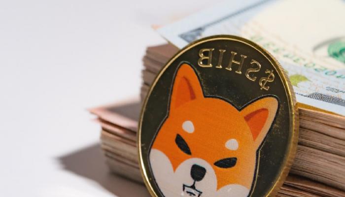 Shiba Inu’da (SHIB) neler oluyor? 12 Temmuz 2023