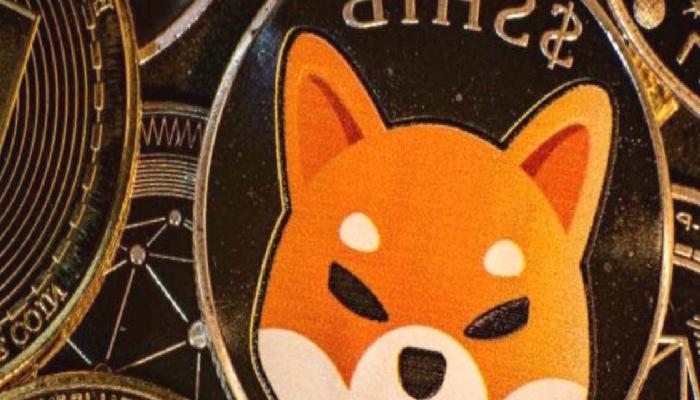 Shiba Inu’ya (SHIB) ilgi artıyor!