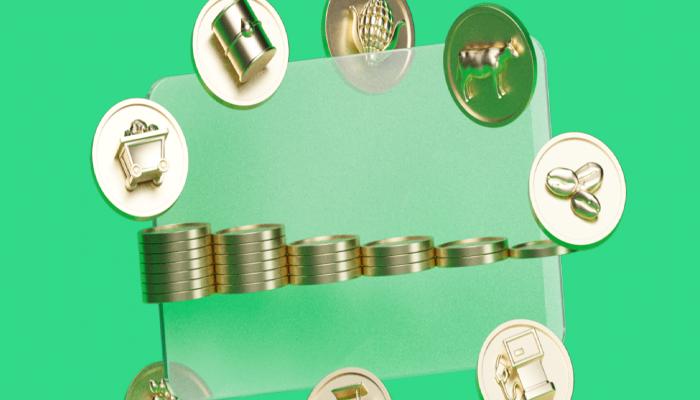 Ünlü Avukat Açıkladı: XRP ve Bu 3 Altcoin, Emtia!
