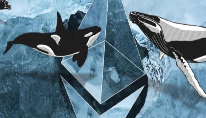 Vitalik Buterin ile irtibatlı balina harekete geçti!