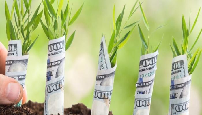 WazirX, Finansman Çeşidinde 5,4 Milyon Dolar Topladı