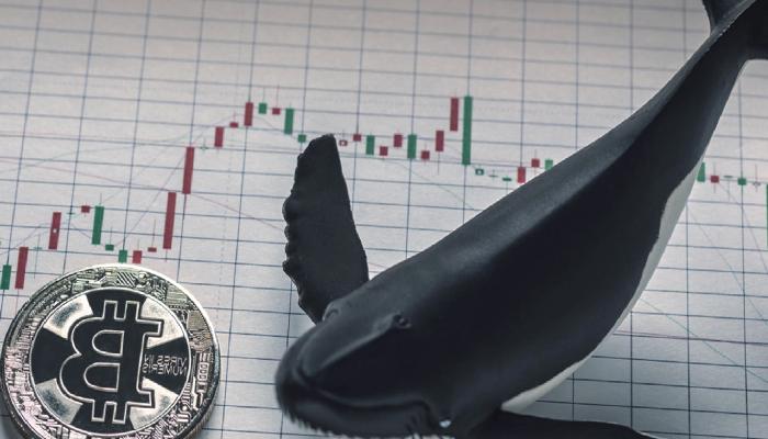 Yıllardır Uyuyan Bitcoin (BTC) Balina Cüzdanı Harekete Geçti!