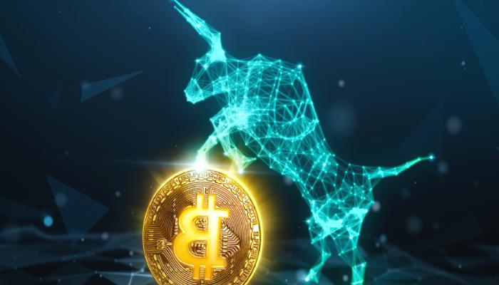 Analistler Açıkladı: Uzun Vadeli Yatırımcılar Bitcoin Biriktiriyor!