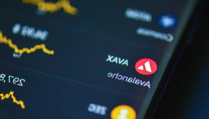 AVAX mı Solana mı?