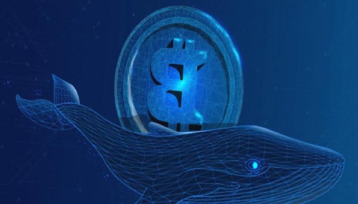 Balinalar Bitcoin Saldırısına Başladı! Neler Bekleniyor?