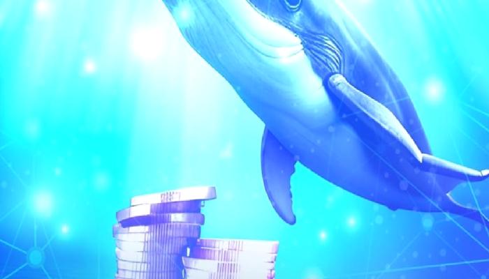 Balinalar, Bu Altcoin’e Yüklendi: Binlercesini Satın Aldılar!
