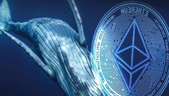 Balinalar Ethereum (ETH) stokluyor!