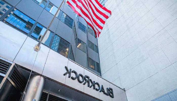 BlackRock, soruşturmayla karşı karşıya