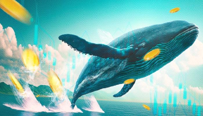 Bu 3 Altcoin, Çıkar Arayan Kripto Balinalarının Radarına Girdi!