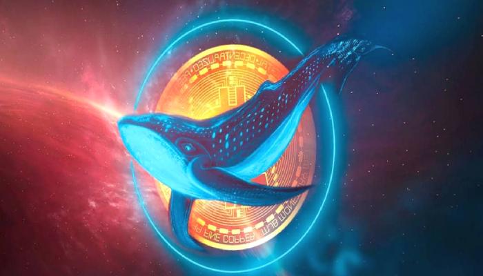 Çöküş mü Geliyor? Balinaların Saldırdığı Altcoin’de Sert Ataklar  