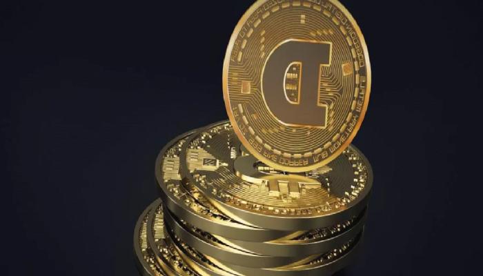 DOGE Mucidi, Favori Kriptolarını ve Yatırım Unsurlarını Paylaştı!