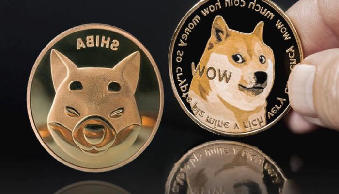 DOGE ve SHIB Bu Saatlerde Satılıyor! Pekala Kimler Alıyor?