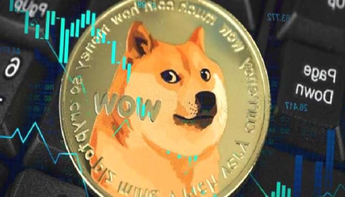 Dogecoin Neden Yükseliyor? İşte 2 Nedeni…