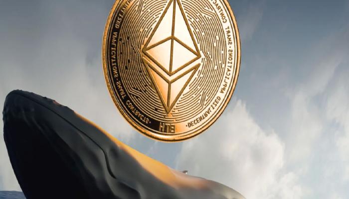 Ethereum Balinaları Dump’a Hazırlanıyor! Bir Balina Daha Uyandı!