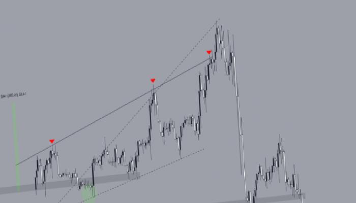 Litecoin 3. Halvingi Tamamladı! Fiyat Düşüyor!