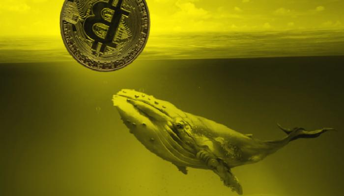Ortaya Çıktı: Bakın 5. En Büyük Bitcoin Balinası Kim!