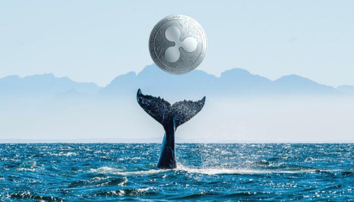 Ripple (XRP) balinasından merak uyandıran transfer!