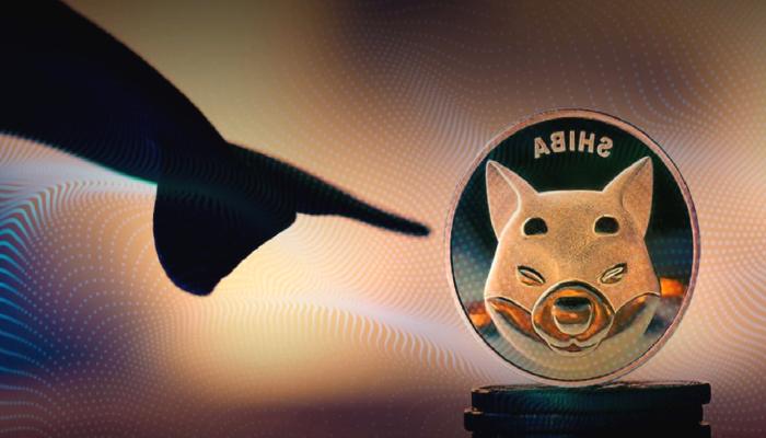 SHIB Balinaları Bu Haberle Harekete Geçti: Trilyonluk Transfer!