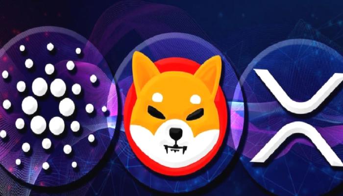 SHIB, BTC, XRP, LUNC, ADA Varsayımı: Fiyatlar Çığlık Atıyor!
