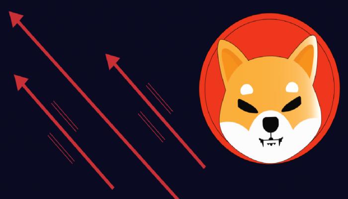 Shiba Inu İçin Şaşırtan Gelişme! Risk Artıyor