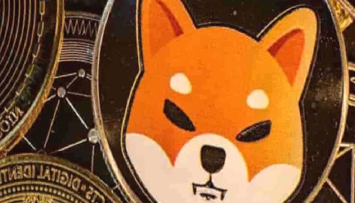 Shiba Inu (SHIB) direnç alanını zorluyor!