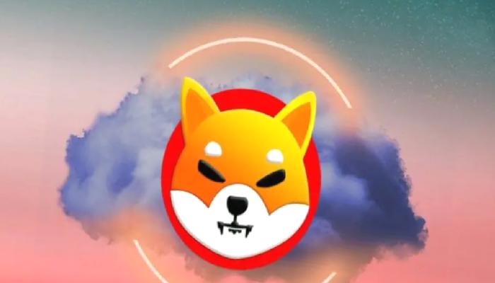 Shiba Inu (SHIB) Ekbi Shibarium Hakkında Açıklama Yaptı!