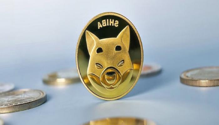 Shiba Inu (SHIB) süreçlerinde talep artışı var!