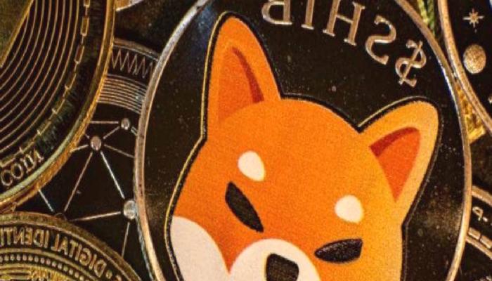 Shiba Inu’da (SHIB) sert düşüş!