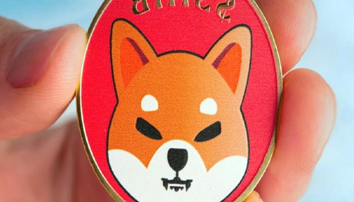 Shibarium Ağında Kesinti: Shiba Inu (SHIB) Neden Düşüyor?