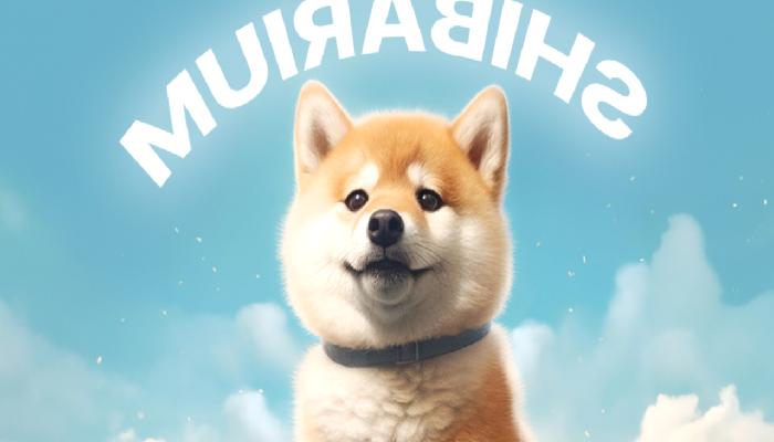 Shibarium nedir? Shiba Inu ağı hakkında bilmeniz gereken her şey