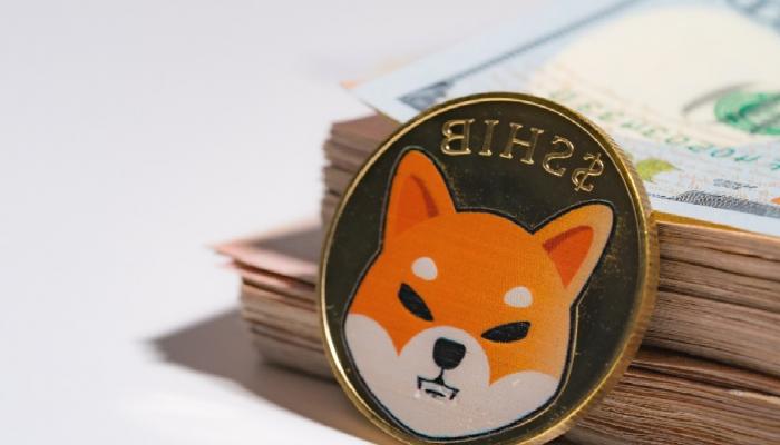 Shibarium temalı bir memecoin, neredeyse sıfırlandı!