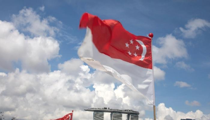 Singapur merkez bankasından stablecoin hamlesi!
