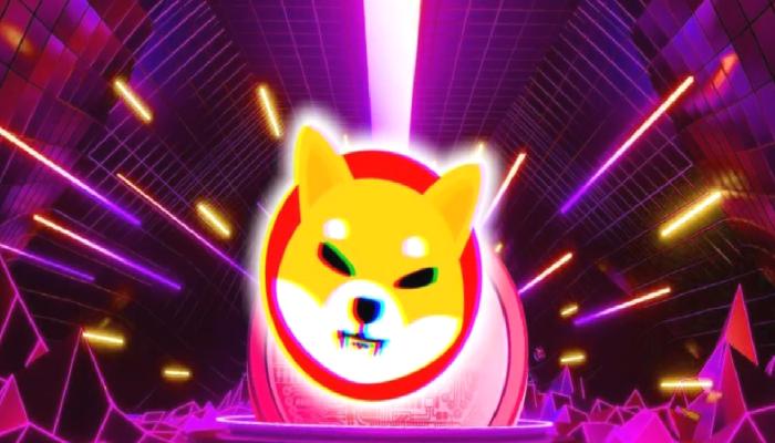 Sorun Çözüldü, Shiba Inu (SHIB) Fiyatında Düşüş Durdu!
