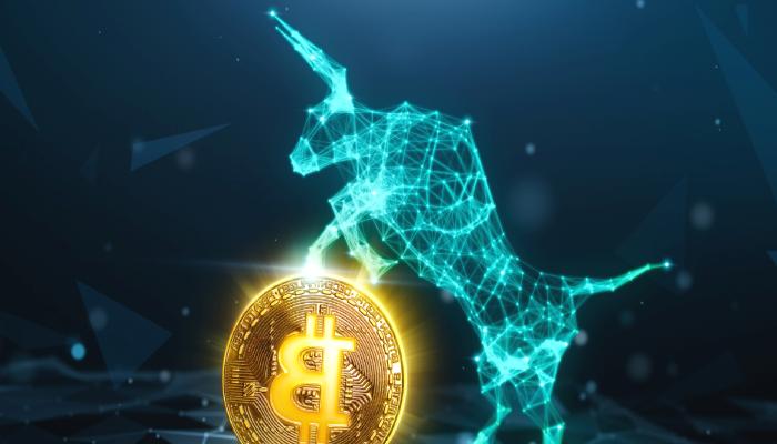 Ünlü Analist Bitcoin Boğa Döneminin İpuçlarını Açıkladı