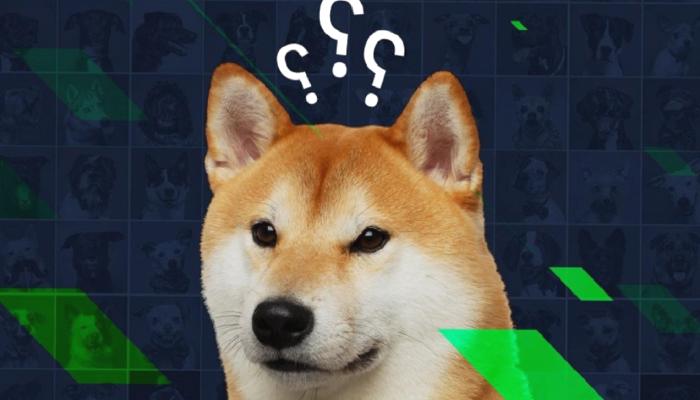 Yapay Zekadan SHIB, DOGE ve XLM İçin Kritik Tahminler!