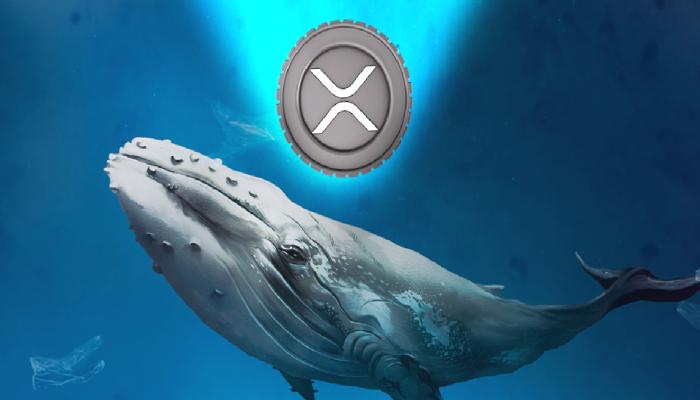 Yeni bir Ripple çöküşü yakın mı? Milyonlarca XRP taşındı!