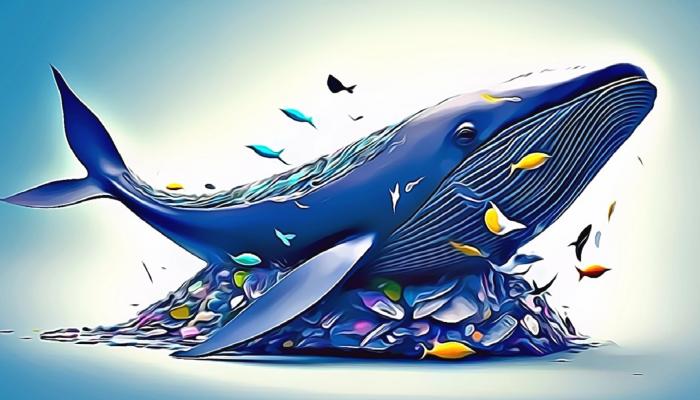 Akıllı Balina Bu Altcoin’de Milyonlar Kazandı