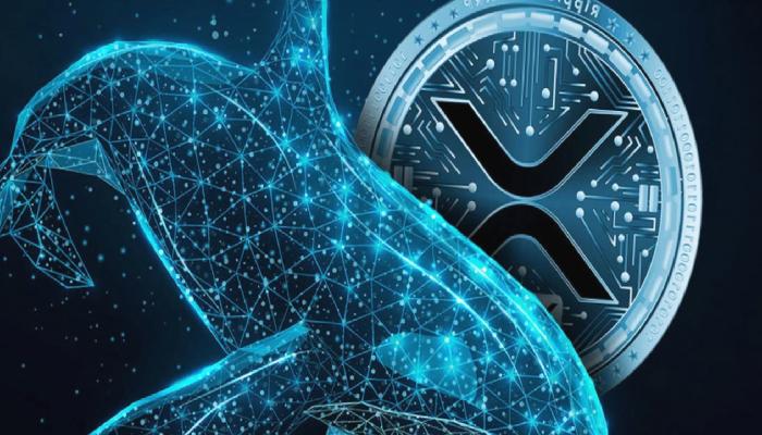 Altcoin Hareketliliği: Ripple’dan Büyük XRP Transferi